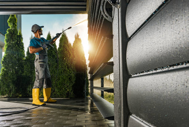 Best Rust Removal  in North Richmond, CA