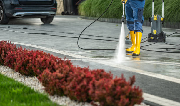 Best Dumpster Area Cleaning  in North Richmond, CA